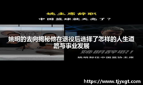 姚明的去向揭秘他在退役后选择了怎样的人生道路与事业发展