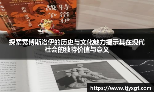 探索索博斯洛伊的历史与文化魅力揭示其在现代社会的独特价值与意义