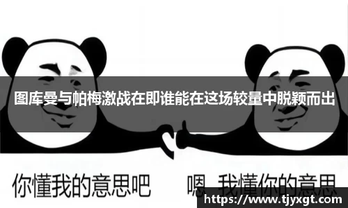 图库曼与帕梅激战在即谁能在这场较量中脱颖而出